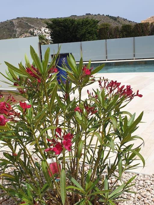 Casa Osimos Portet 450 M Moraira Eksteriør bilde