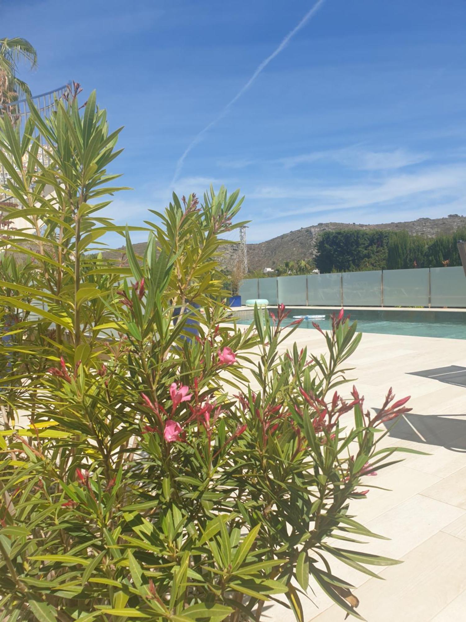 Casa Osimos Portet 450 M Moraira Eksteriør bilde